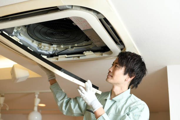 Best Affordable Air Duct Cleaning  in Shenandoah, IA